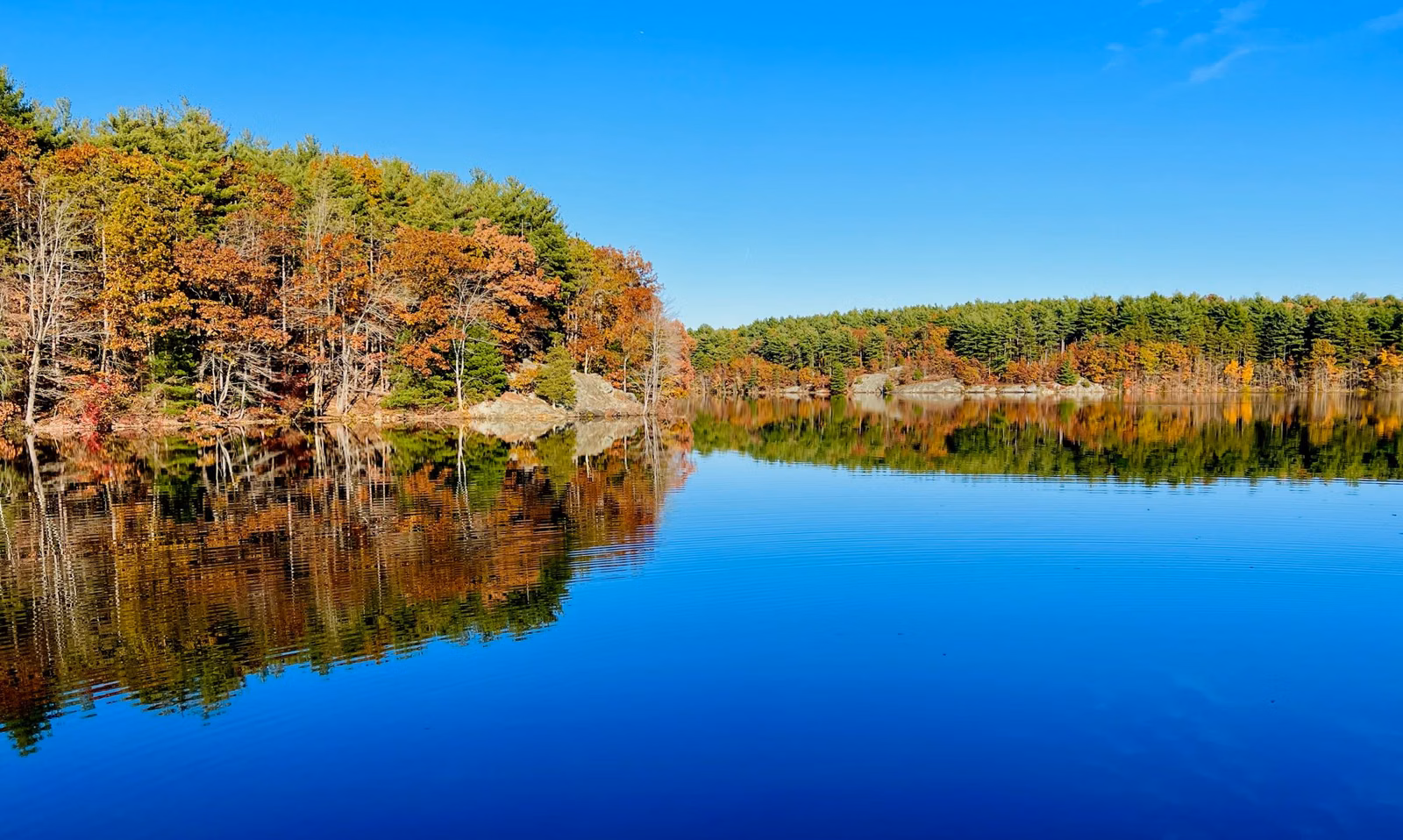 Fall foliage mirrored in the still Middle Reservoir under a clear sky, Middlesex Fells, Medford