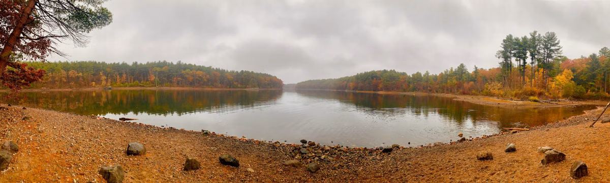 Panorama of a reservoir shore with fall color and a gravel beach on a gray day, Middlesex Fells, Stoneham