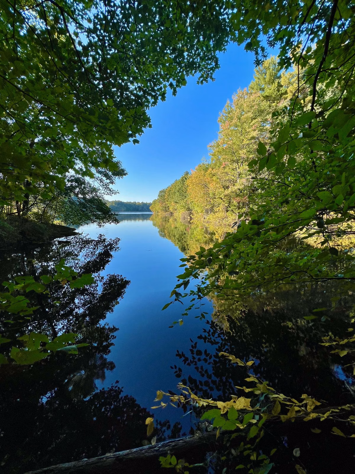 Fall color reflected in still water framed by trees, Middlesex Fells