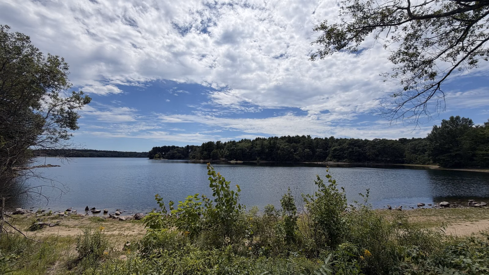 Open water and a wooded far shore under summer clouds, Middlesex Fells