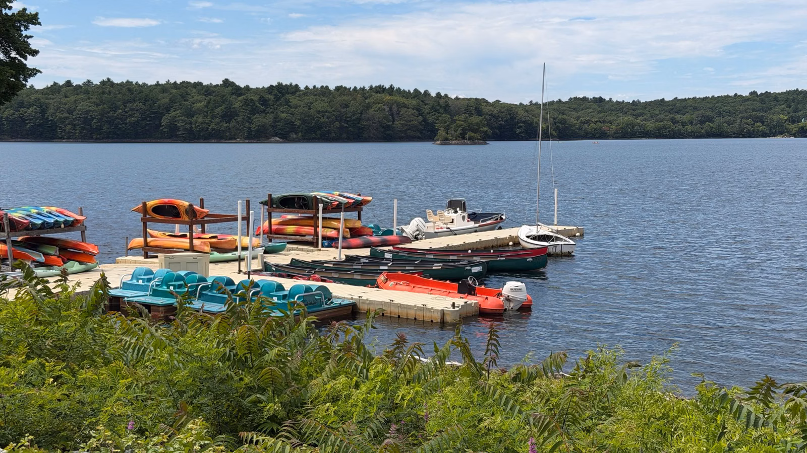Rental kayaks, canoes and paddle boats at the docks on Spot Pond, Middlesex Fells, Stoneham