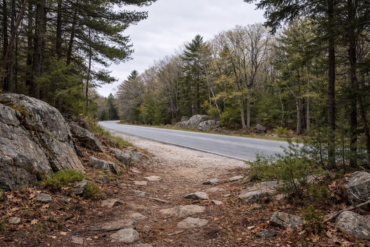 Trail emerging from woods at a quiet paved road with no traffic