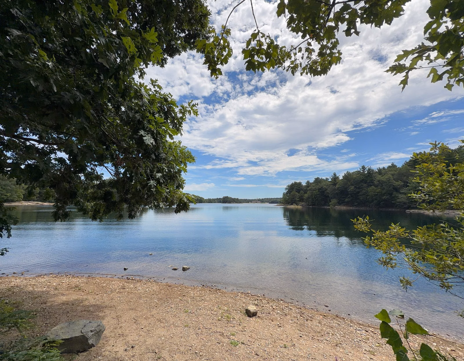 Sandy cove and calm water under summer clouds at Spot Pond, Middlesex Fells