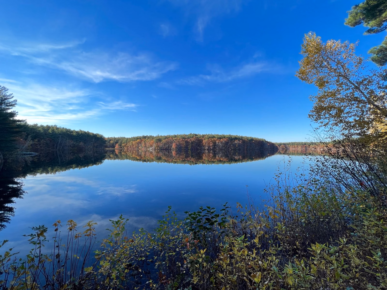 Reservoir under a blue sky with a wooded far shore in fall, Middlesex Fells, Medford