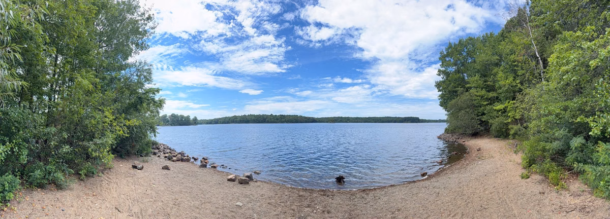 Small sandy beach on a calm pond shore in summer, Middlesex Fells
