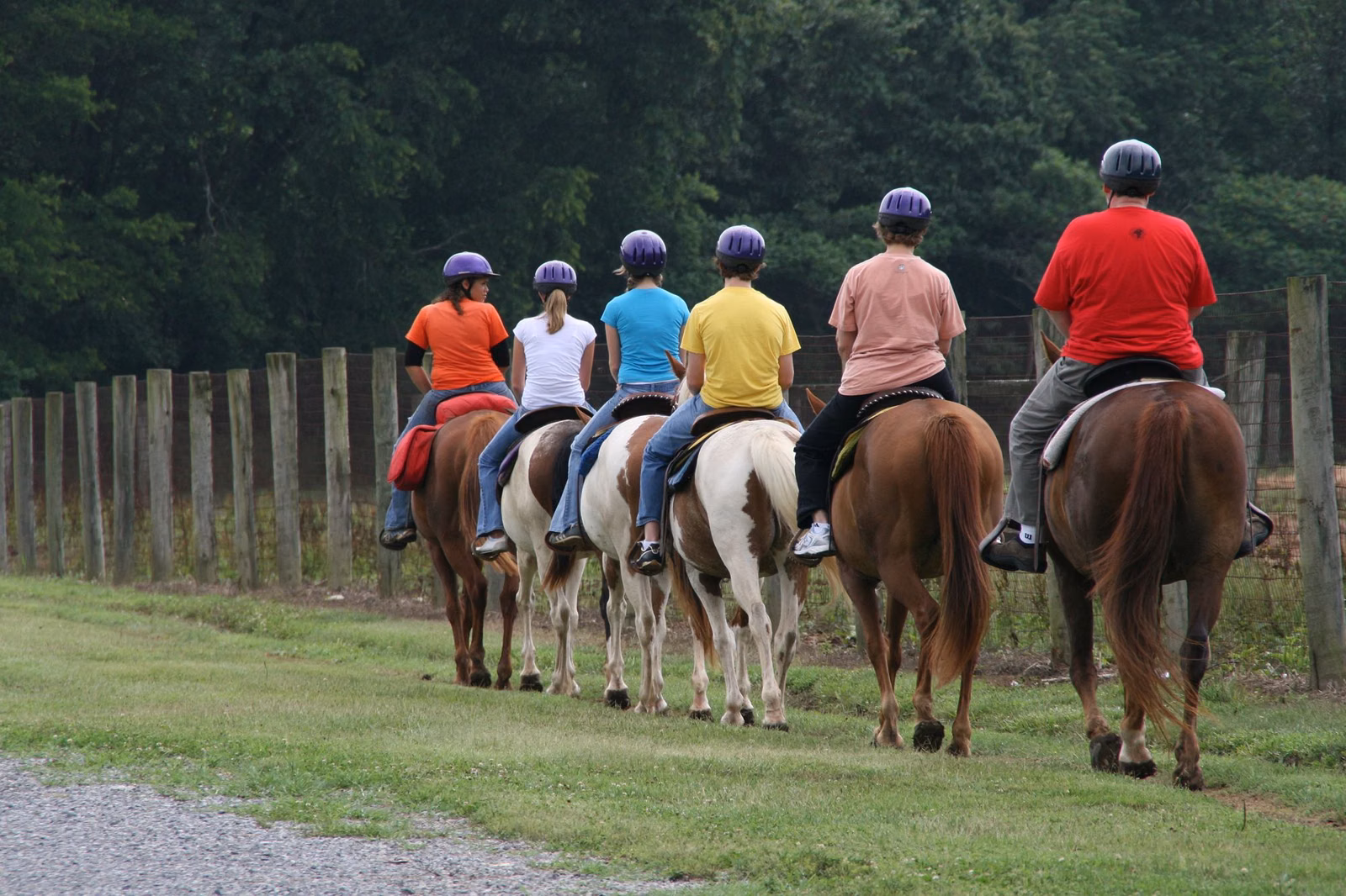 Riders in helmets on a guided trail ride along a fence line at the edge of the woods