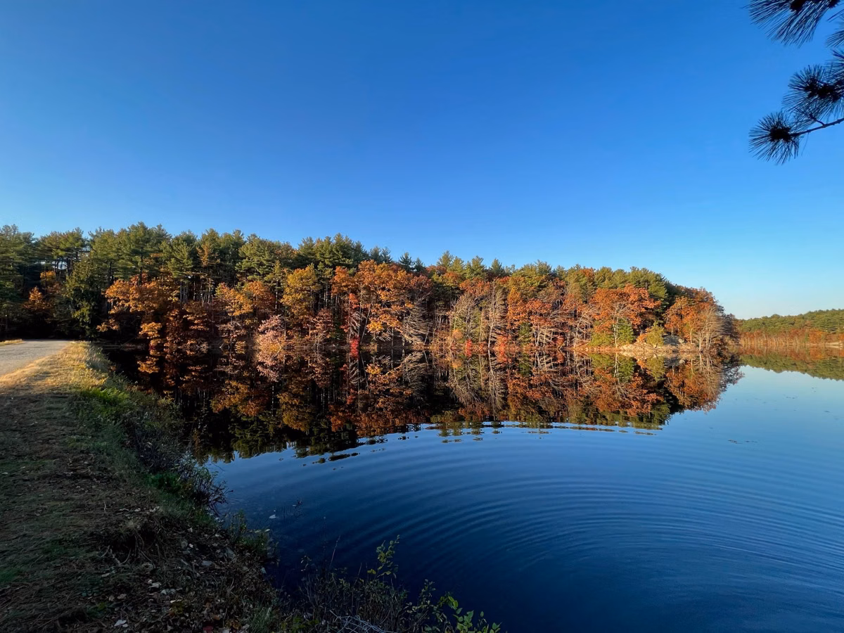 Fall foliage reflected in the Middle Reservoir beside a dirt path, Middlesex Fells, Medford