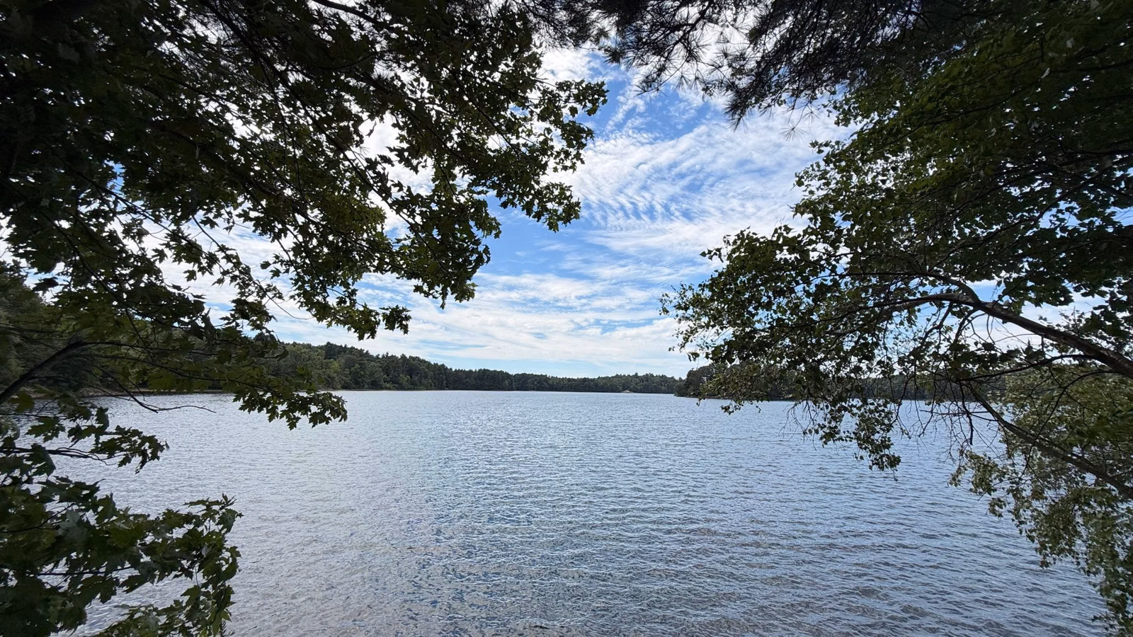 Spot Pond seen through overhanging branches on a summer day, Middlesex Fells