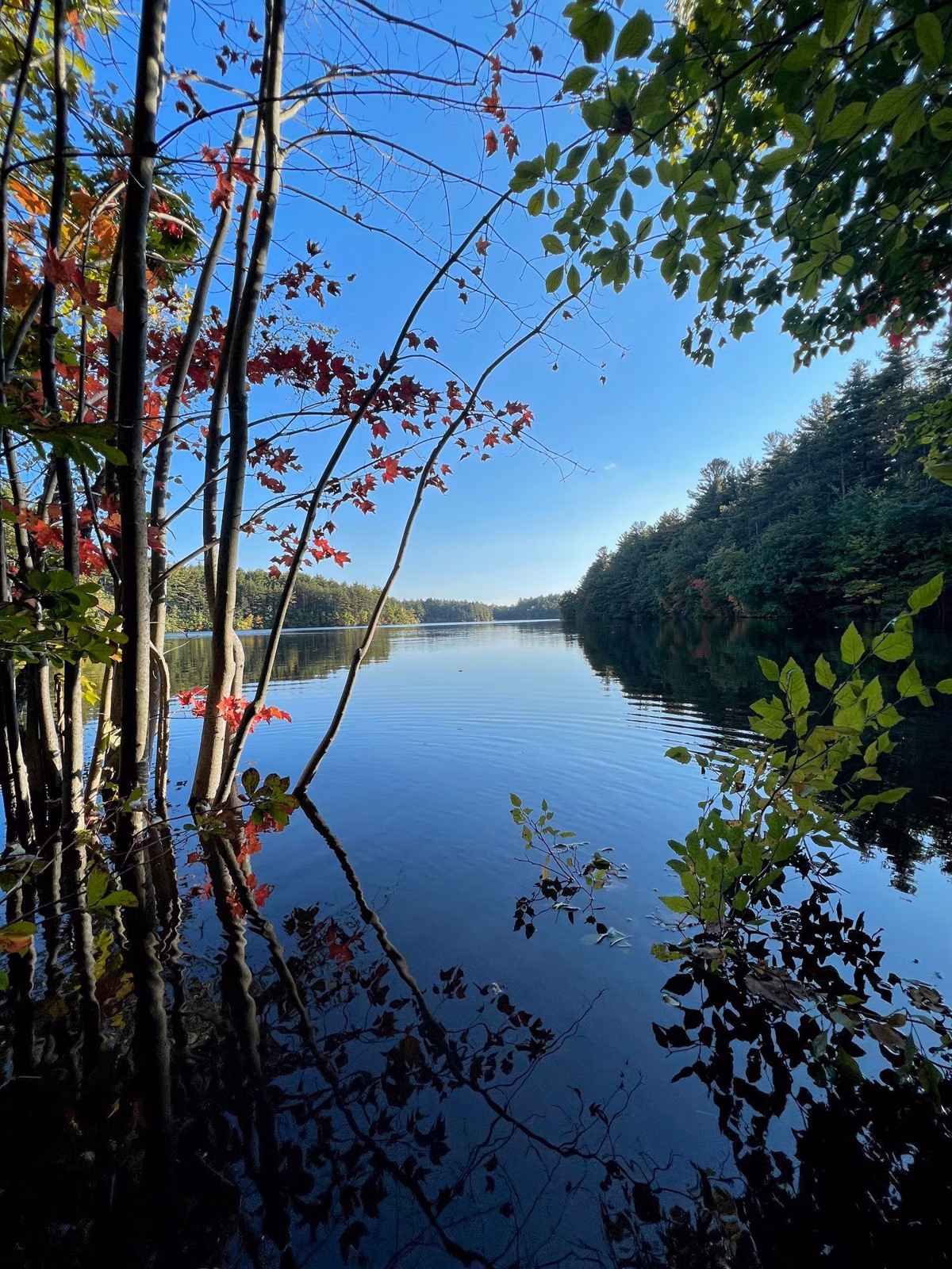 Calm reservoir water framed by early fall trees, Middlesex Fells