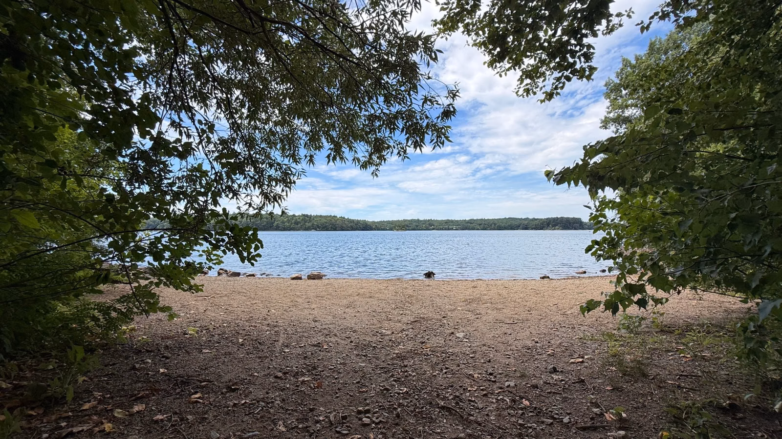 Spot Pond seen through trees from a sandy opening on the shore, Middlesex Fells, Stoneham