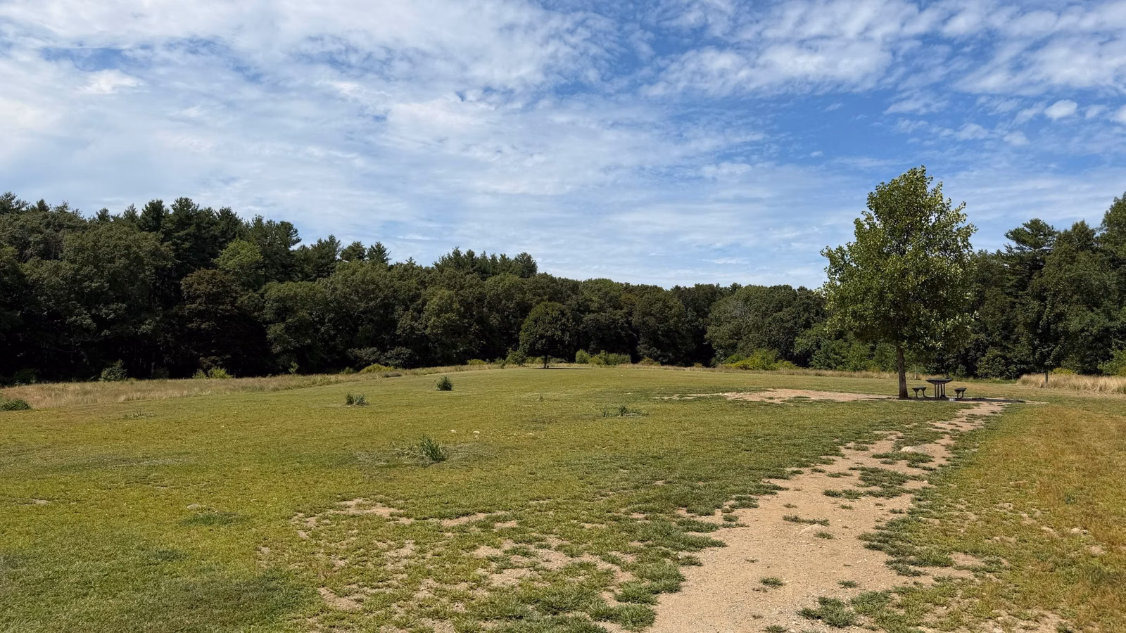 Wide open Sheepfold meadow ringed by woods under summer clouds, Middlesex Fells, Stoneham