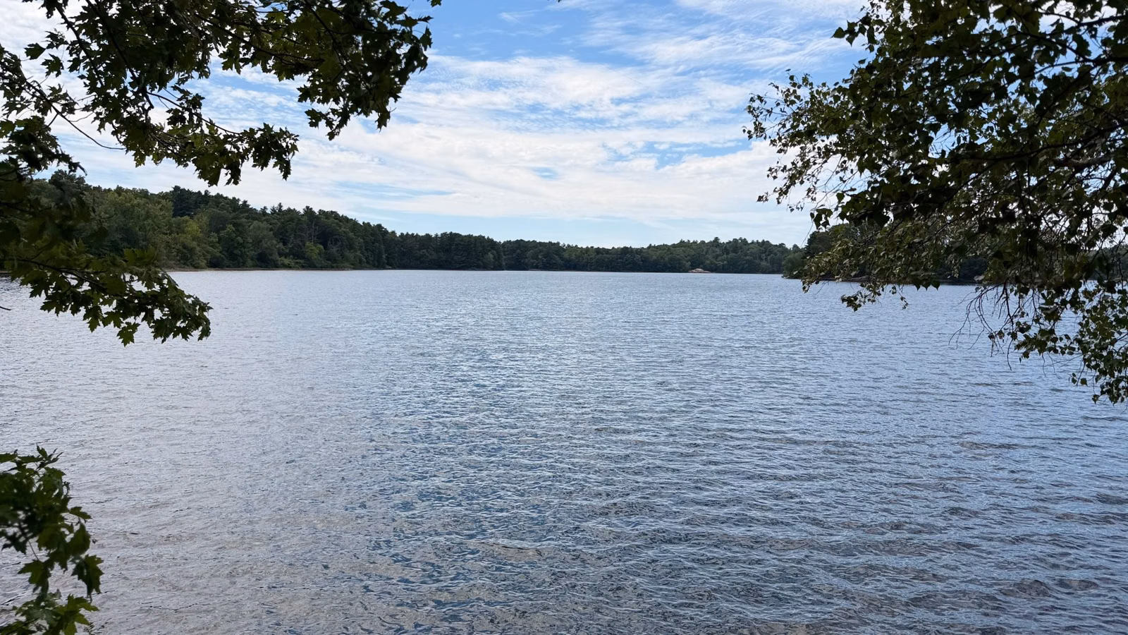 Open water of Spot Pond framed by trees, Middlesex Fells, Stoneham