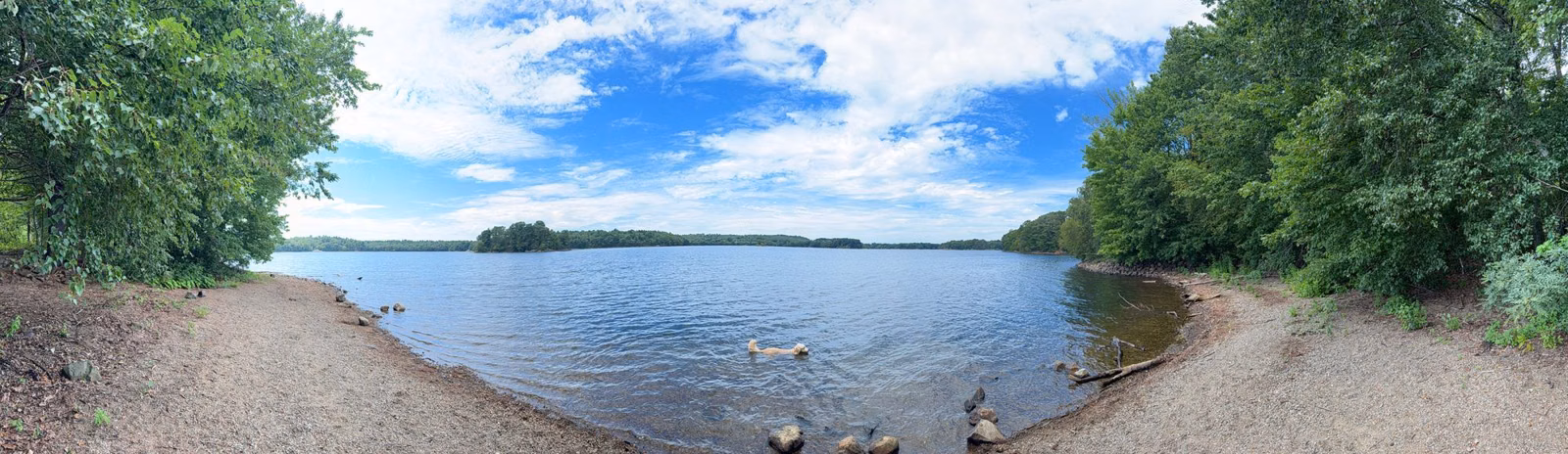 Curving sandy shore and wooded islands at Spot Pond, Middlesex Fells