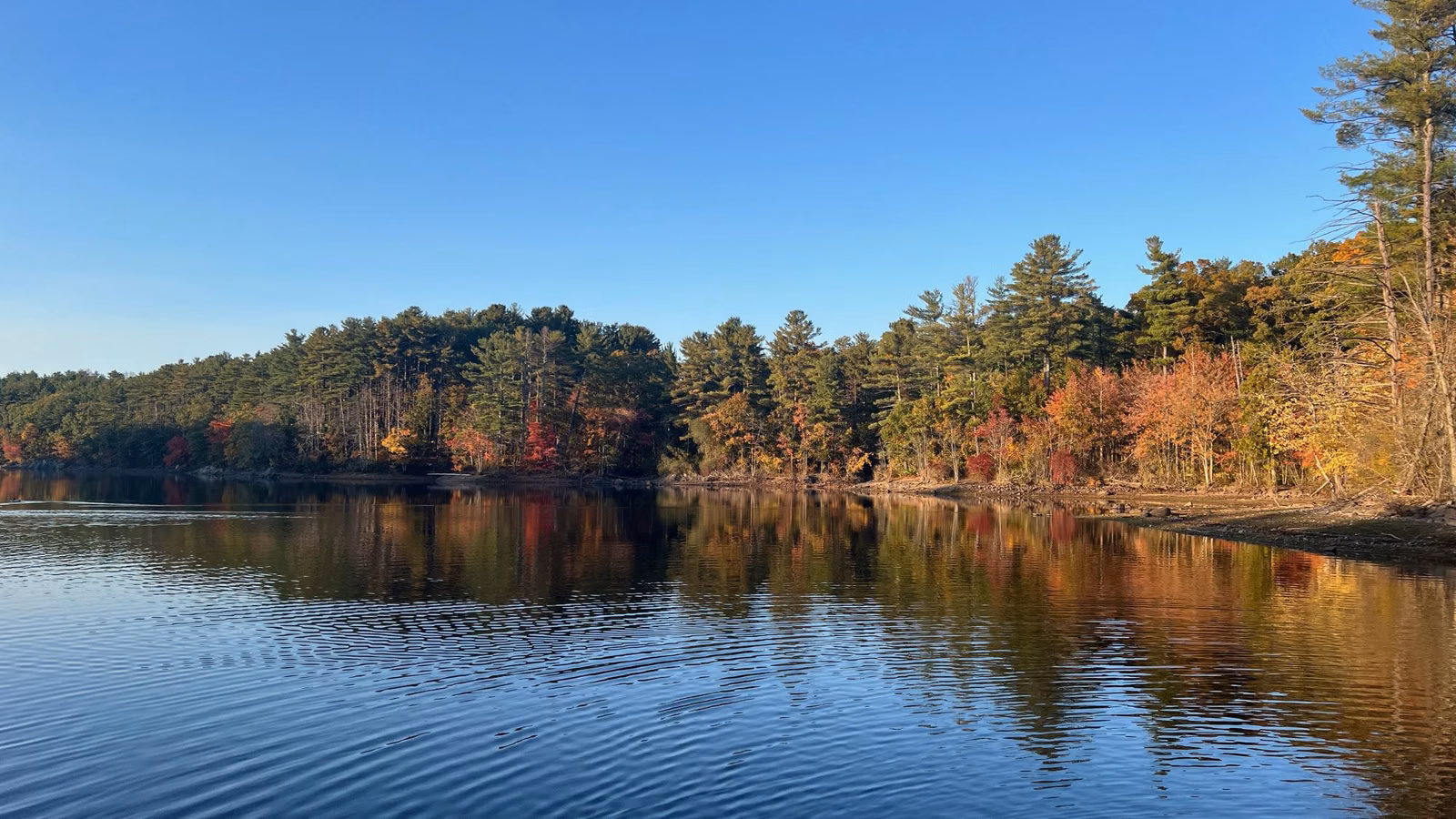 Fall foliage reflected in Wright's Pond on a clear evening, Medford